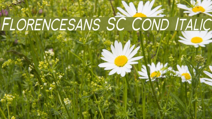 Florencesans SC Cond Italic Font examples