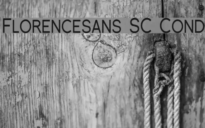 Florencesans SC Cond フォント examples