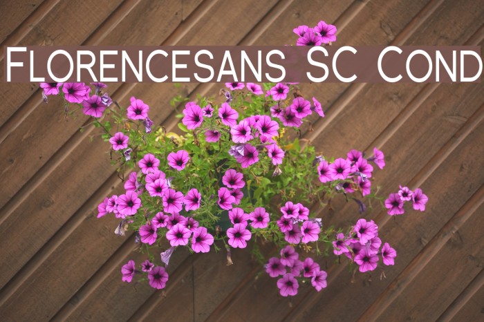 Florencesans SC Cond フォント examples