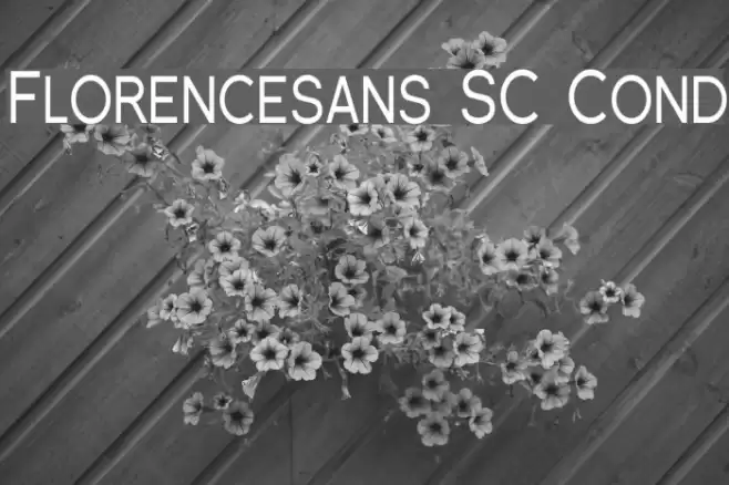 Florencesans SC Cond フォント examples