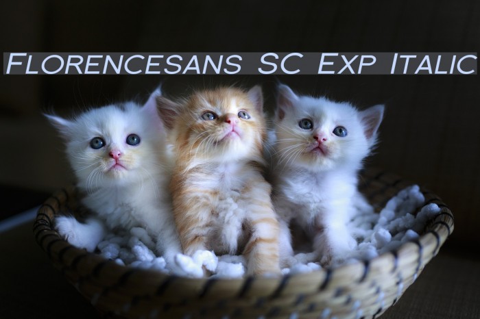 Florencesans SC Exp Italic Font examples