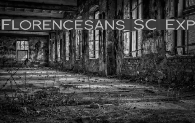 Florencesans SC Exp Шрифта examples