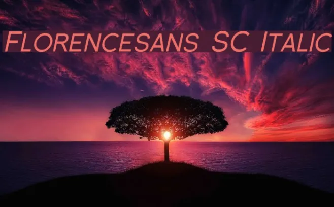 Florencesans SC Italic Example 1