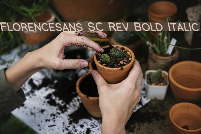 Florencesans SC Rev Bold Italic Font examples