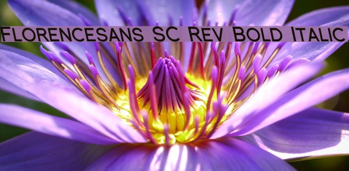 Florencesans SC Rev Bold Italic Font examples