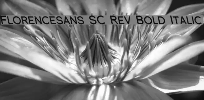 Florencesans SC Rev Bold Italic Font examples