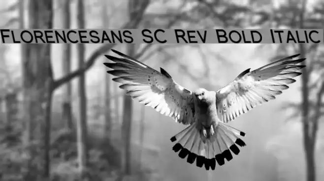 Florencesans SC Rev Bold Italic Font examples