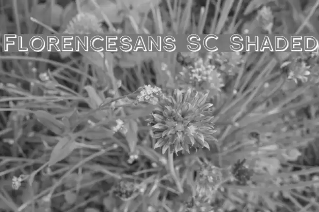 Florencesans SC Shaded フォント examples