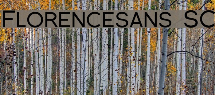 Florencesans SC Font examples