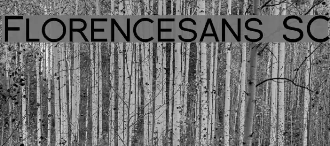 Florencesans SC Шрифта examples