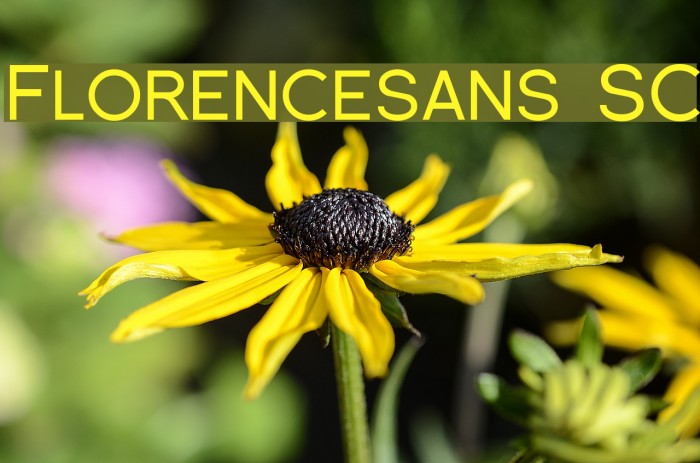 Florencesans SC Font examples