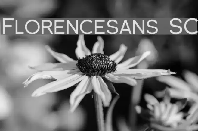 Florencesans SC Шрифта examples