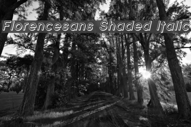 Florencesans Shaded Italic Font examples