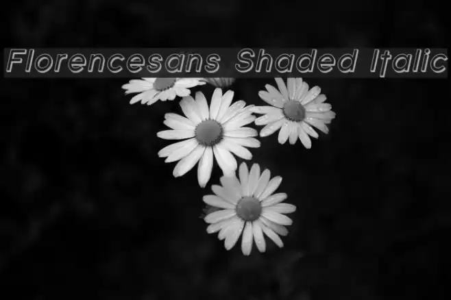 Florencesans Shaded Italic Font examples