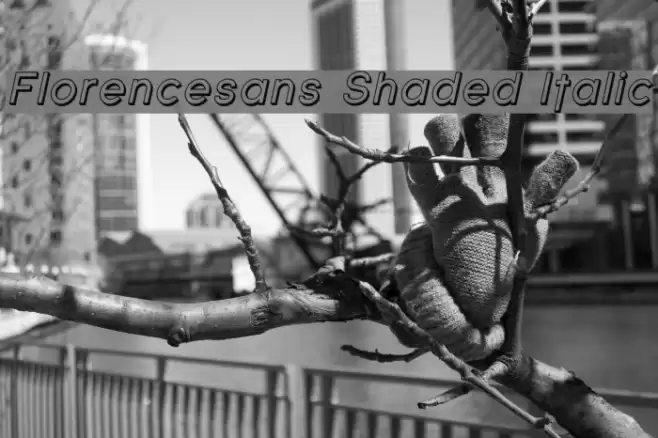 Florencesans Shaded Italic Font examples