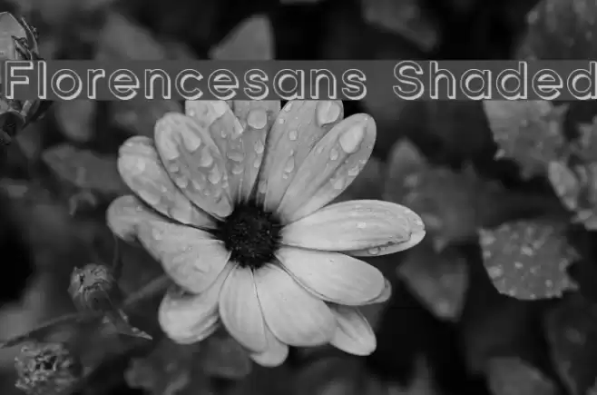 Florencesans Shaded Schriftart examples