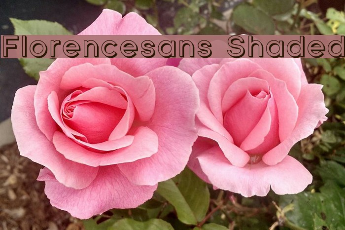 Florencesans Shaded Font examples
