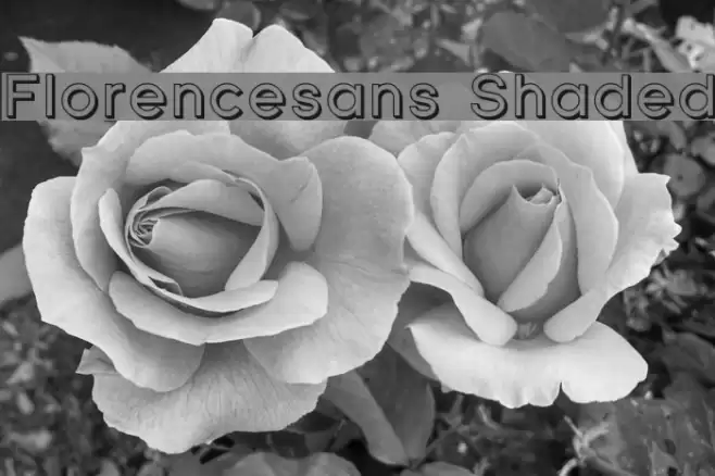 Florencesans Shaded Schriftart examples