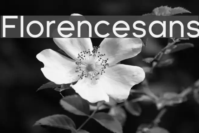 Florencesans Font examples