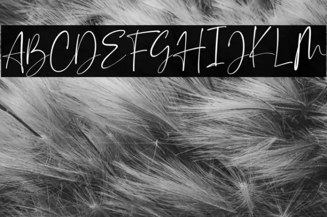 Florentea Font examples