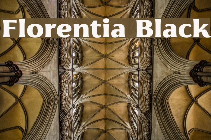 Florentia Black Example 2