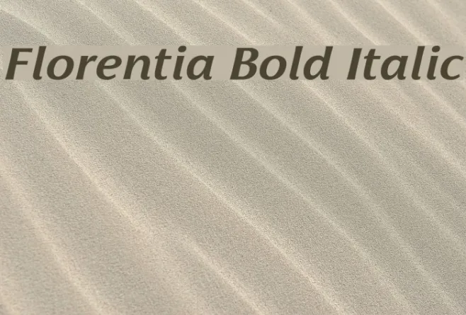 Florentia Bold Italic Example 1