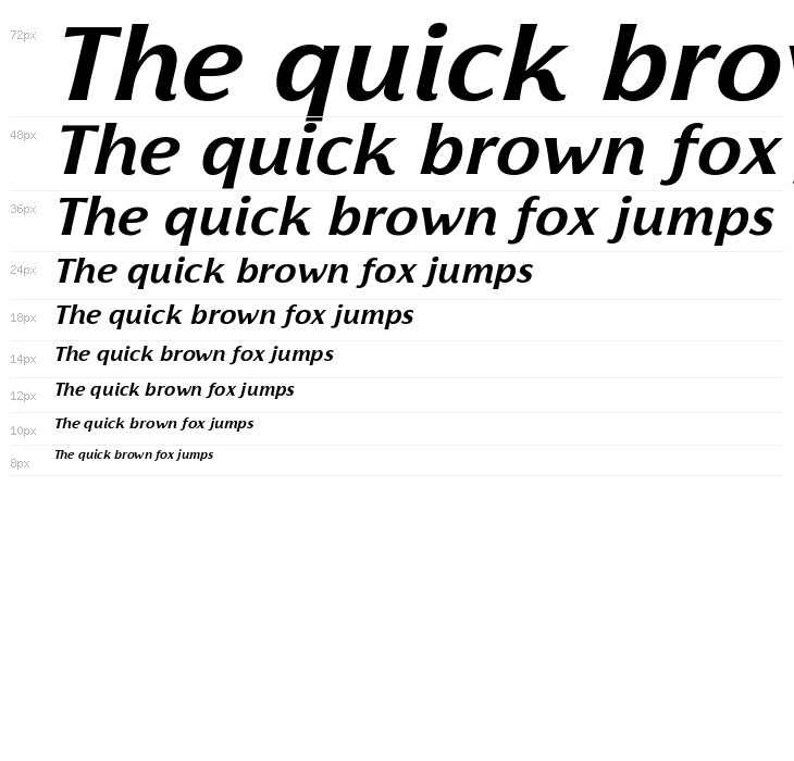 Florentia Bold Italic Waterfall