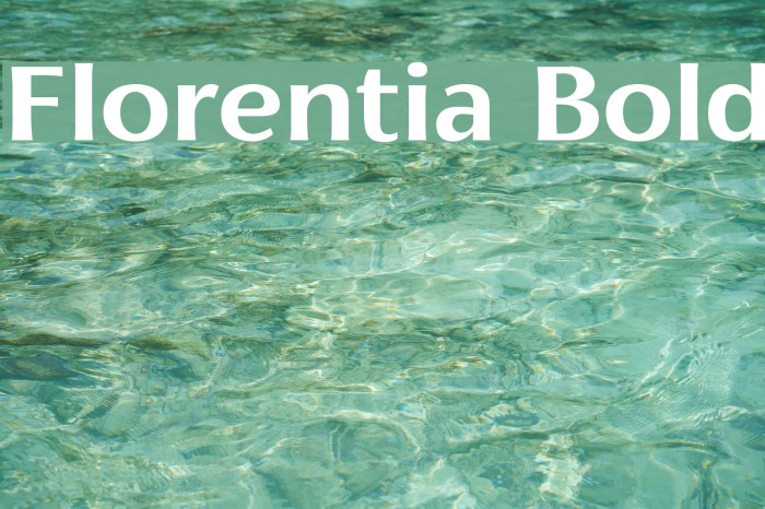 Florentia Bold Font examples