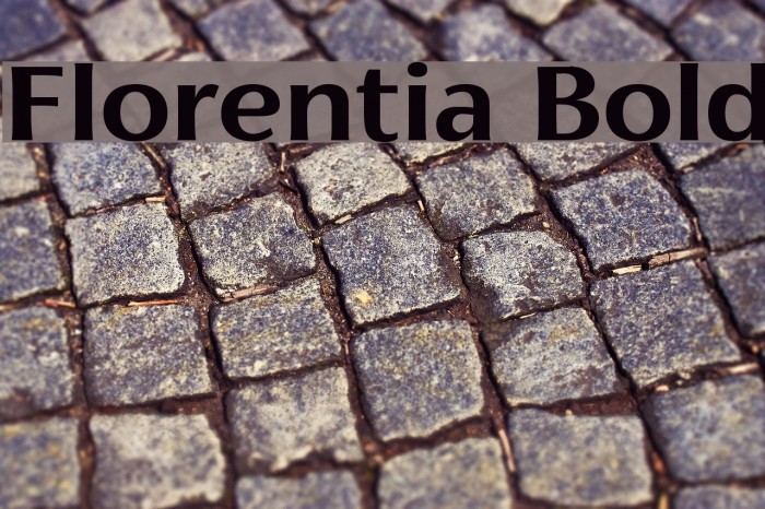 Florentia Bold Font examples