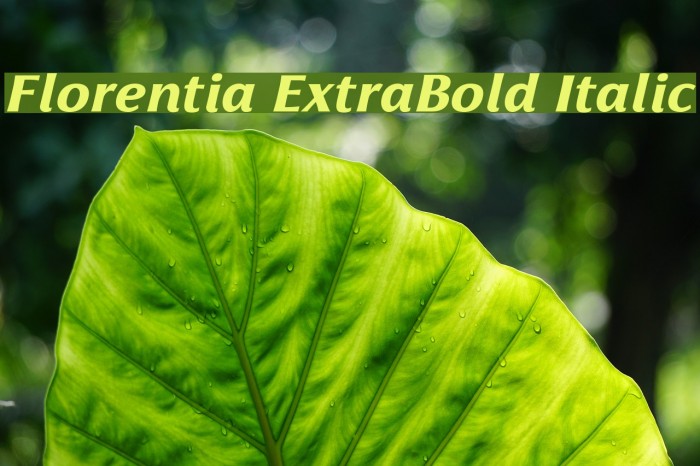 Florentia ExtraBold Italic Font examples