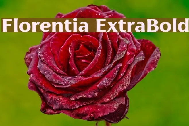 Florentia ExtraBold Example 3