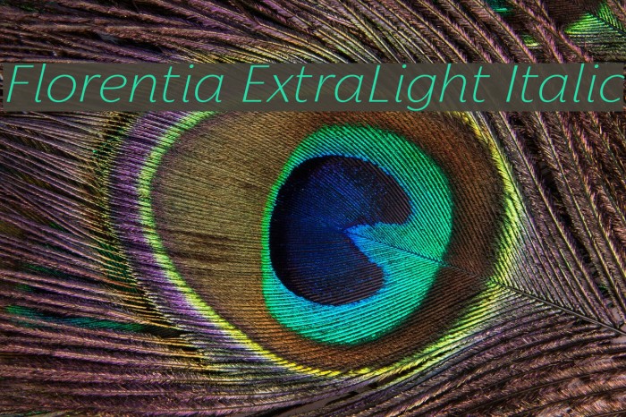 Florentia ExtraLight Italic Font examples