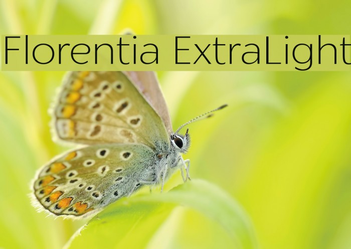 Florentia ExtraLight Font examples