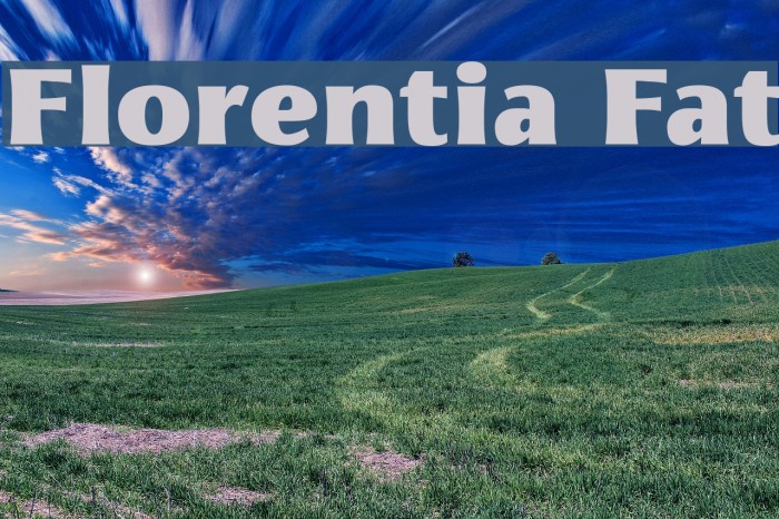 Florentia Fat Font examples