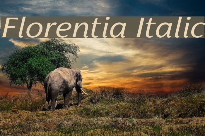 Florentia Italic Example 2