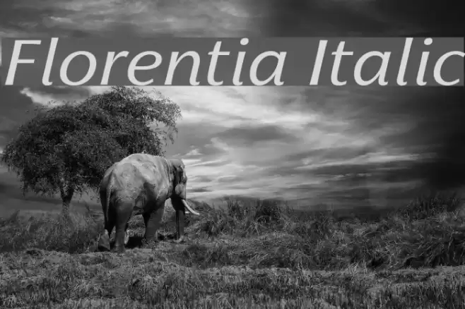 Florentia Italic Font examples