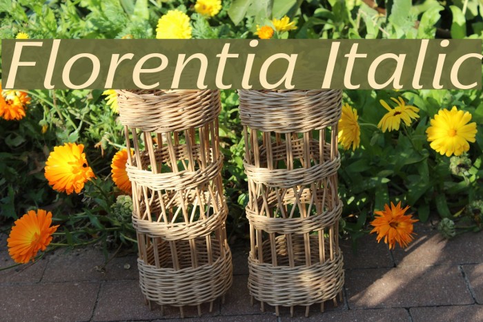 Florentia Italic Example 3