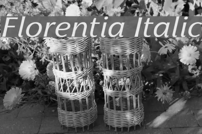 Florentia Italic Font examples