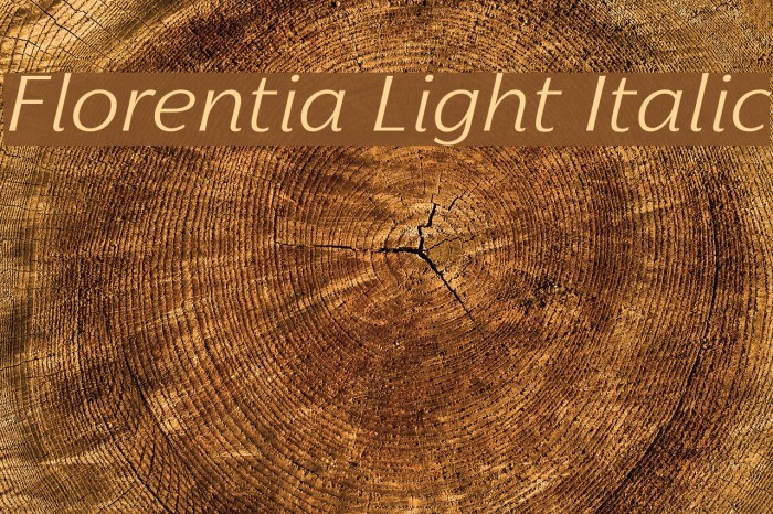Florentia Light Italic Font examples