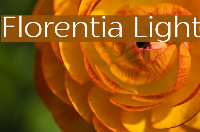 Florentia Light Example 3