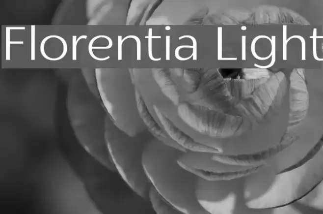 Florentia Light Font examples