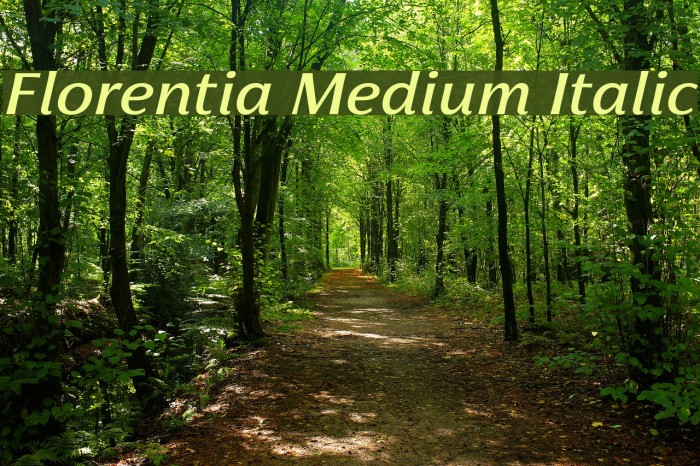 Florentia Medium Italic Example 3