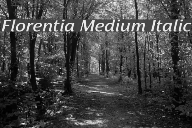 Florentia Medium Italic Font examples