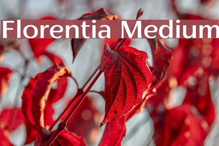 Florentia Medium Font examples