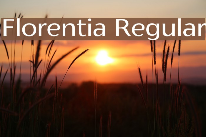 Florentia Regular Example 2