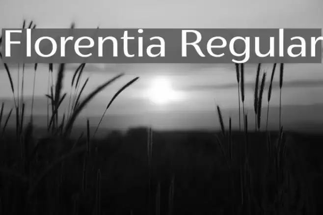 Florentia Regular Font examples