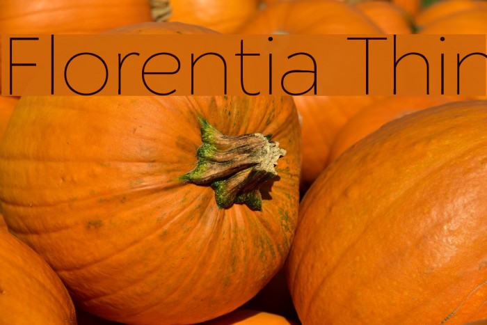 Florentia Thin Font examples