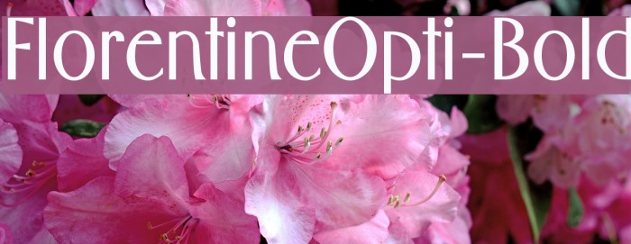 FlorentineOpti-Bold Font examples