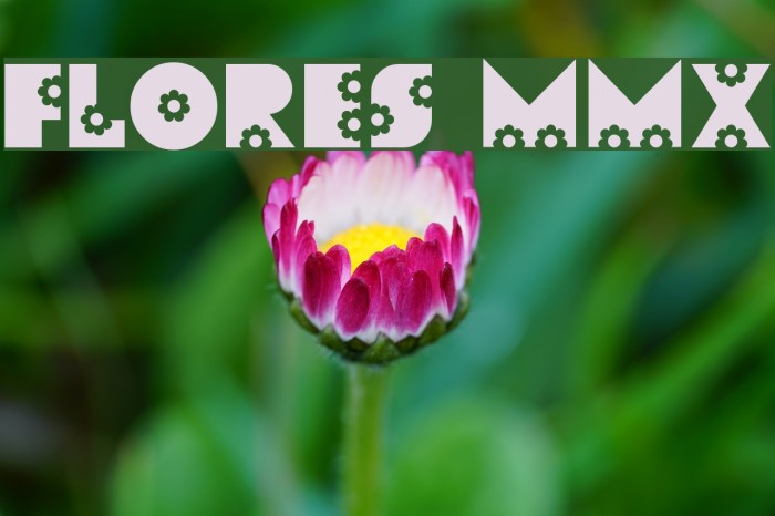 Flores MMX Font examples