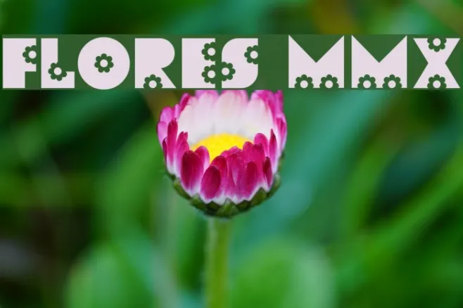 Flores MMX Example 2